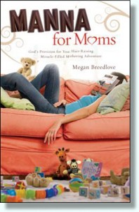Manna for Moms Book